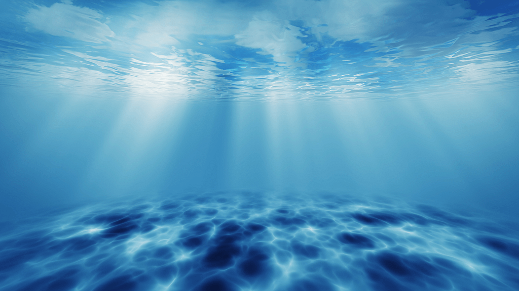 亀有のイメージ画